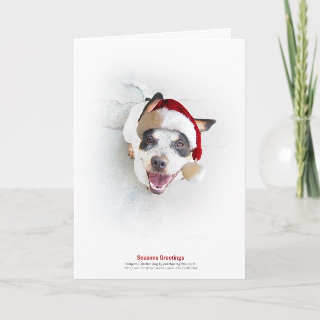 Feiertags-Schutz-Hund Feiertagskarte (Vorderseite)