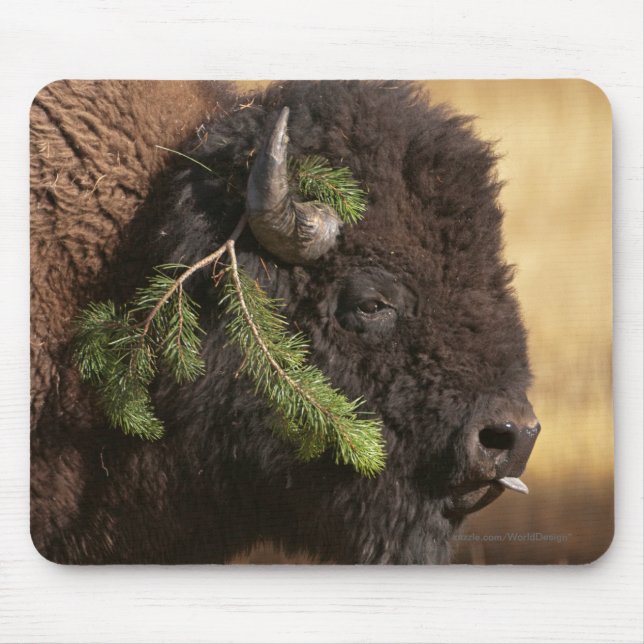 Feiertags-Unfug Mousepad (Vorne)