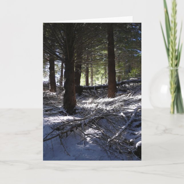 Feiertagskarte, das Höchstqueenstown des Bobs Feiertagskarte (Vorderseite)