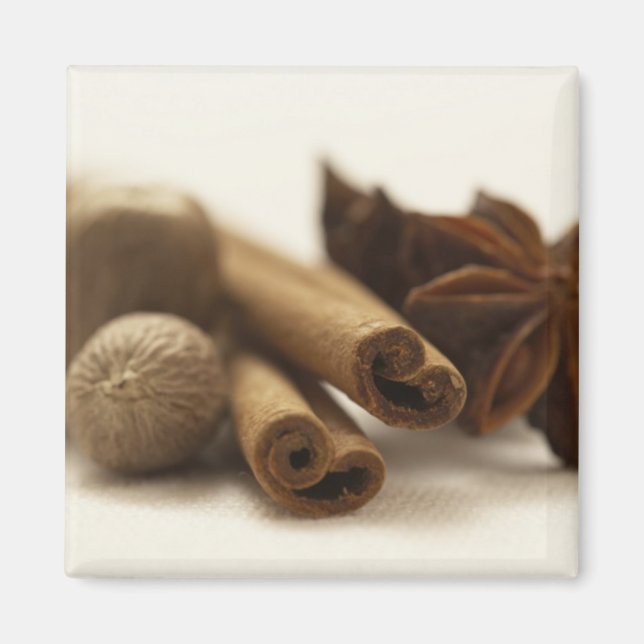 Feiertagsspieße Magnet (Vorne)