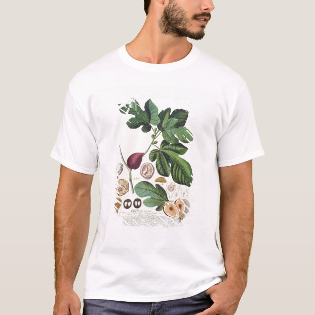 Feige, graviert durch (1704-67) Platte Johann T-Shirt (Vorderseite)