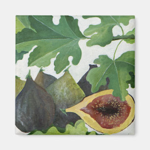 Feigen 2013 magnet