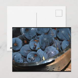Feigenfrucht im Sieb Postkarte