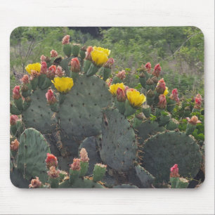 Feigenkaktus Mousepad