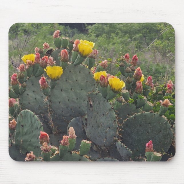 Feigenkaktus Mousepad (Vorne)