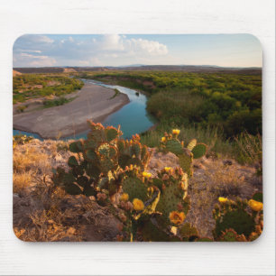 Feigenkaktus (Opuntia Sp.) Mousepad
