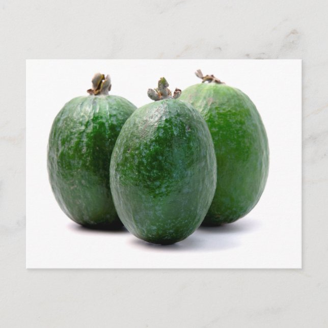 Feijoa Postkarte (Vorderseite)