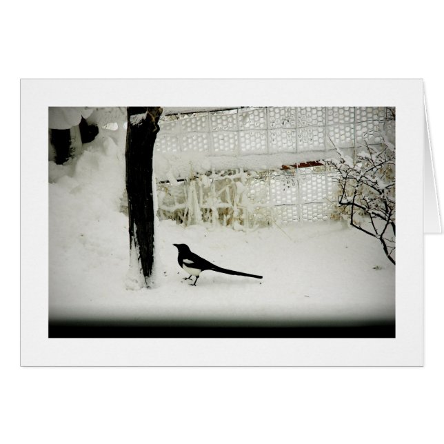 Fein-Kunst Fotoelster im Schnee durch Baum (Vorderseite (Horizontal))