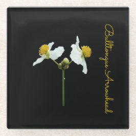 Feine Blüte auf schwarzen Keramiken Glasuntersetzer