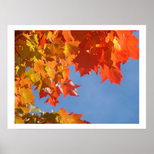 Feine Kunst druckt Natur bunten Herbst-Herbstlaub Poster