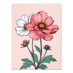 Feine rosa und weiße Blume Fotodruck