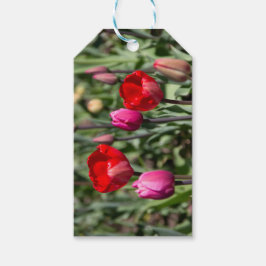 Feine rote und lila Tulpen Geschenkanhänger