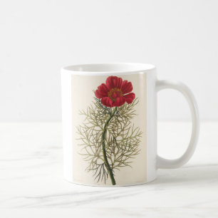 Feiner Leaved Paeony Kaffeetasse