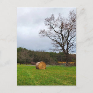 Feld an einem wolkigen Tag Postkarte