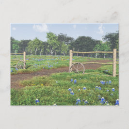 Feld der Bluebonnets Postkarte