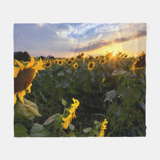 Feld der blühenden Sonnenblumen Fleecedecke (Vorderseite (Horizontal))