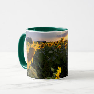 Feld der blühenden Sonnenblumen Tasse