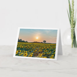 "Feld der Blume" gefaltete, leere Grußkarte Karte