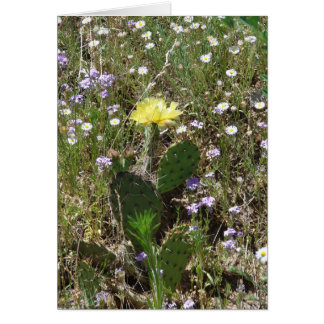 Feld der Blumen
