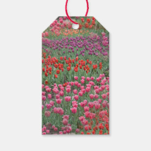 Feld der Giftmarken von Tulips Geschenkanhänger