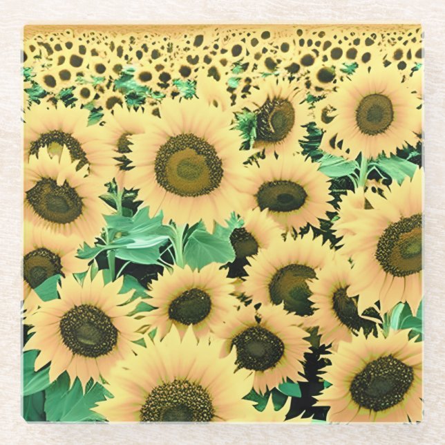 Feld der goldgelben Sonnenblumen Glasuntersetzer (Vorderseite)
