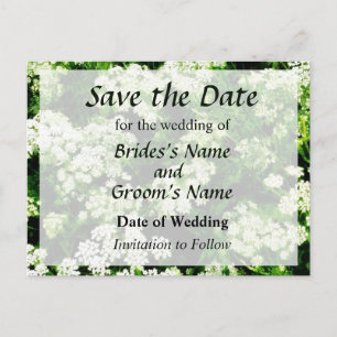 Feld der Königin Anne's Lace Save the Date Ankündigungspostkarte