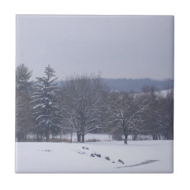 "Feld der landwirtschaftlichen Betriebe" Fliese