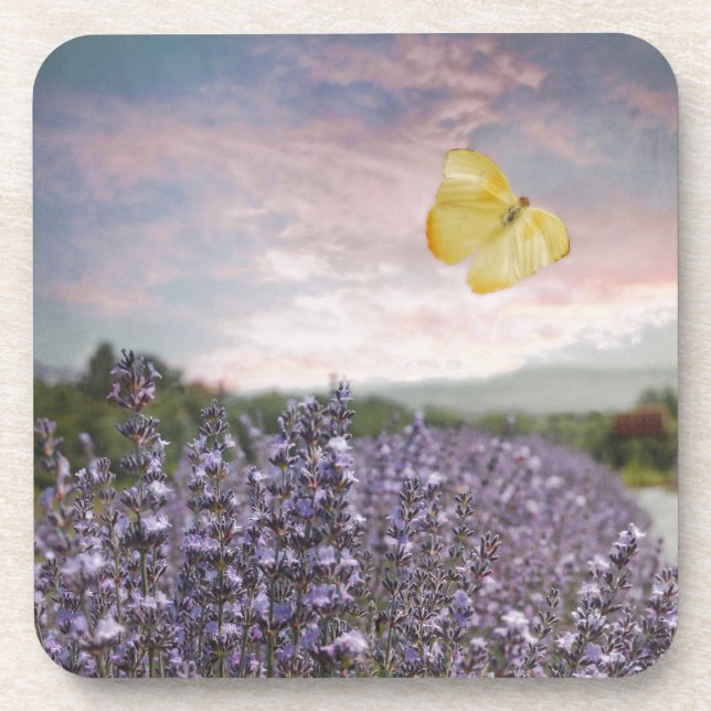 Feld der Lavendel-Blume, Blauer Himmel, rosa Sonne Getränkeuntersetzer (Vorderseite)