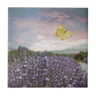 Feld der Lavendel-Blumen, blauer Himmel, rosa Fliese