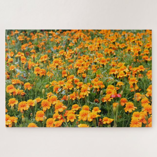 Feld der marigalten Blume schwierig Puzzle (Horizontal)
