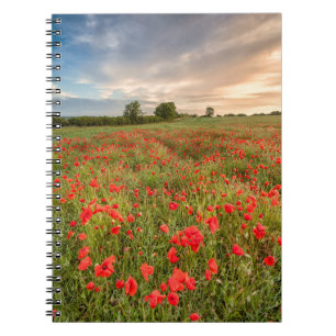 Feld der Mohnblumen Notizblock