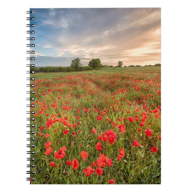 Feld der Mohnblumen Notizblock (Vorderseite)