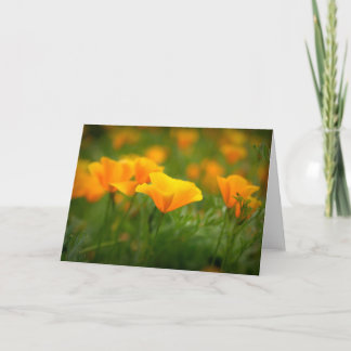 Feld der Poppies Orange Poppy Blank in Kalifornien Karte
