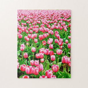 Feld der rosa Tulipen Puzzle
