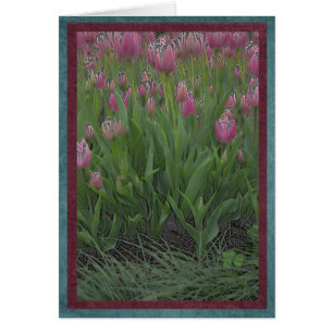 Feld der rosa Tulpen