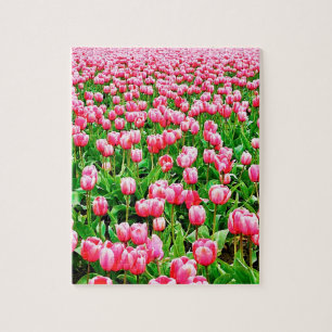 Feld der rosa Tulpen Puzzle