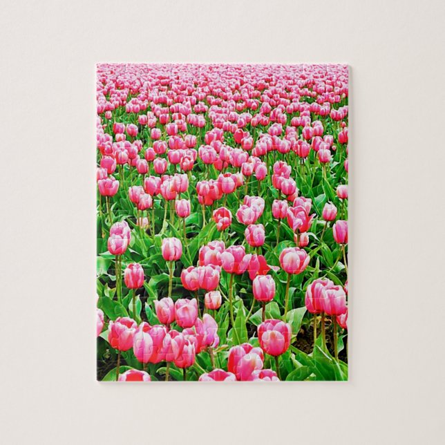 Feld der rosa Tulpen Puzzle (Vertikal)