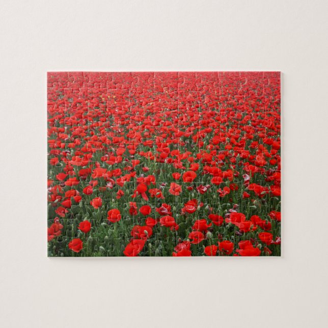 Feld der roten Mohnblumen Puzzle (Horizontal)