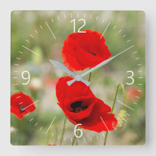 Feld der roten Pappchen Quadratische Wanduhr