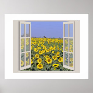 Feld der Sonnenblumen durch ein offenes Fenster be Poster