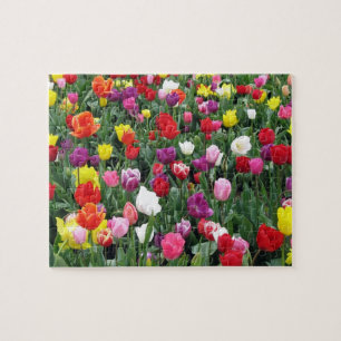 Feld des bunten Tulpe-Puzzlespiels Puzzle