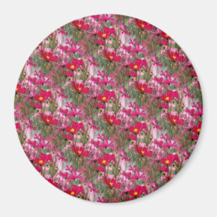 Feld des Kosmos......... Magnet