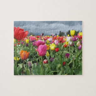 Feld des Tulpe-Puzzlespiels Puzzle
