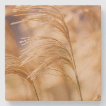 Feld des Weizen-Sandstein-Untersetzer