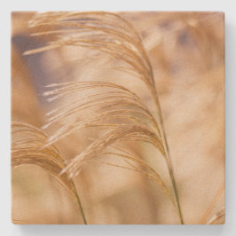 Feld des Weizen-Sandstein-Untersetzer Steinuntersetzer