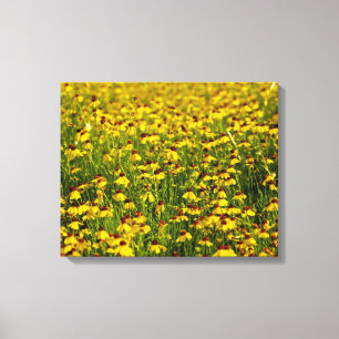 Feld-gelbe Wildblumen-Foto-Leinwand Leinwanddruck