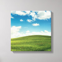 Feld