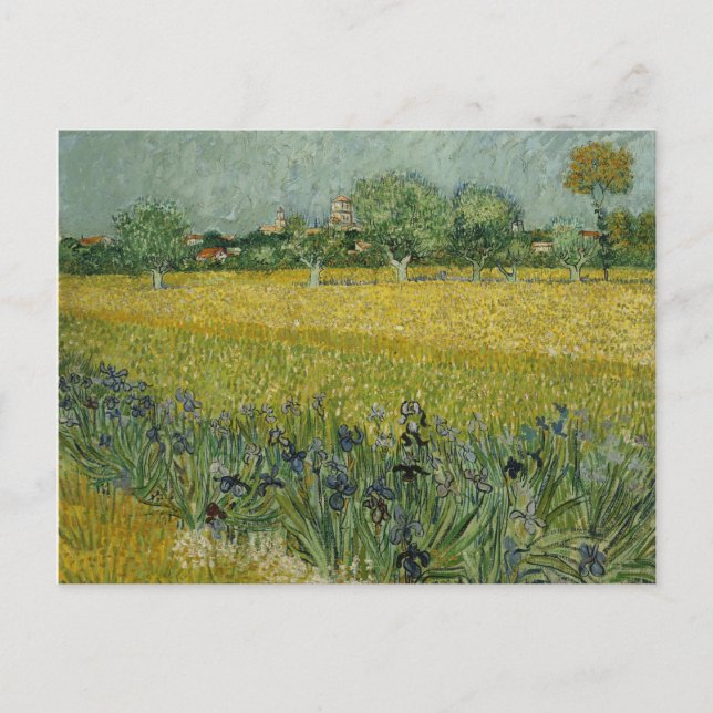Feld mit Blume bei der Postkarte Arles (Vorderseite)