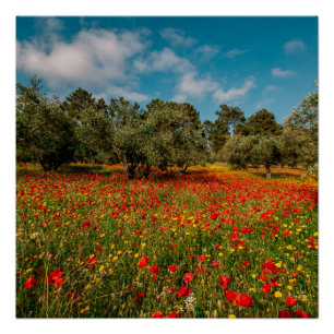 Feld mit Blume und Bäumen Poster