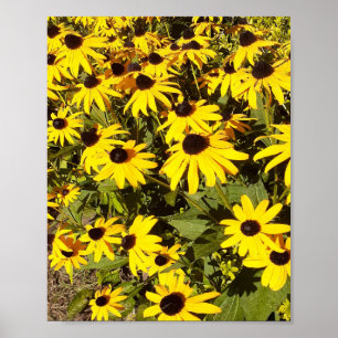 Feld mit gelben Wildblumen  Poster